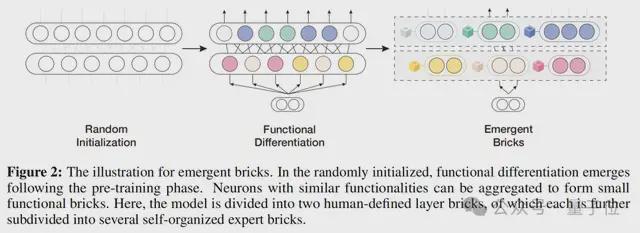 △涌现模块的形成过程示意图
