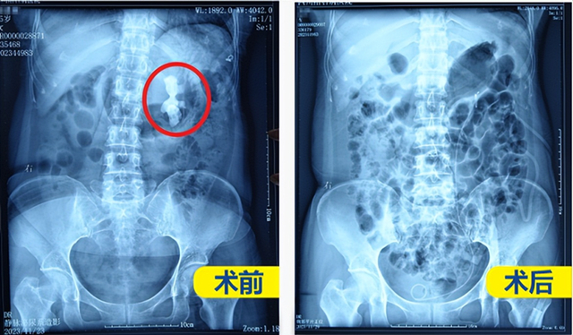 a529bd8db29a4e18af369afab612e368_tplv-tt-origin-web_gif_����.jpg