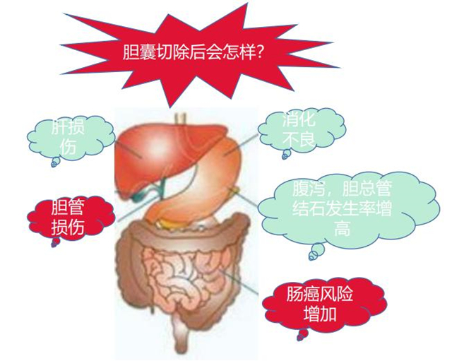 98b956d1c6d640f2a0d89d850783c15e_tplv-tt-origin-web_gif_����.jpg